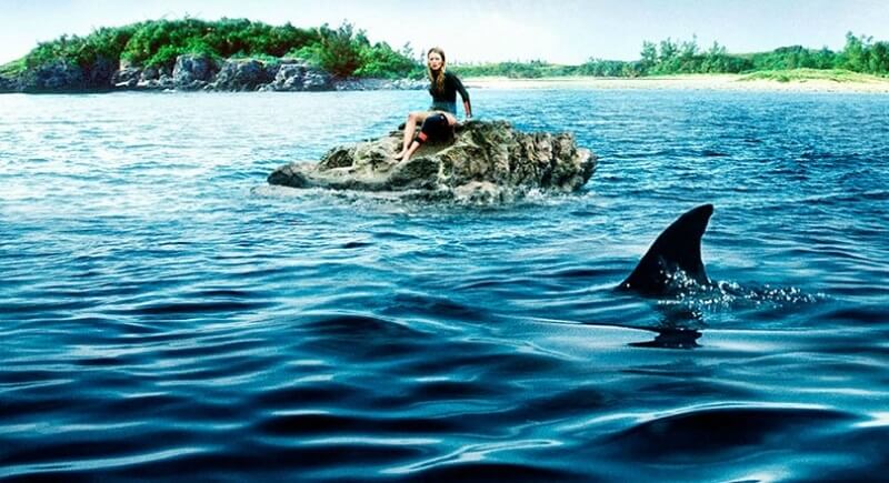 The Shallows