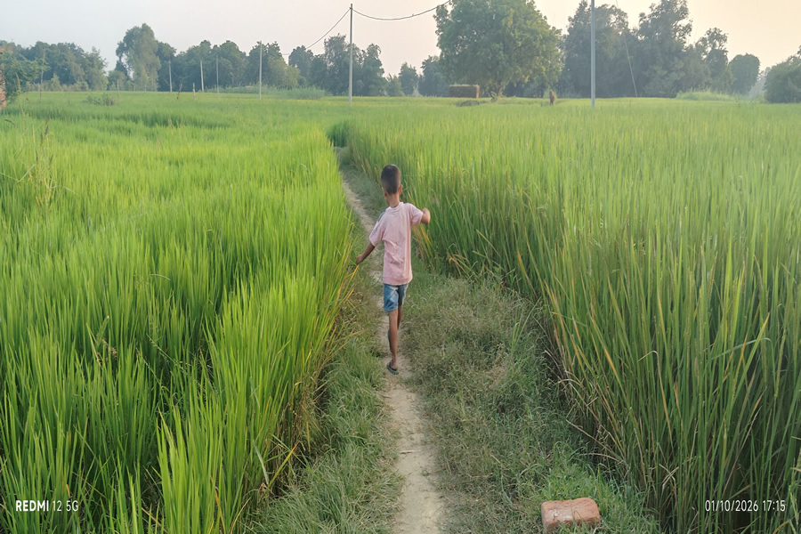 Village farms