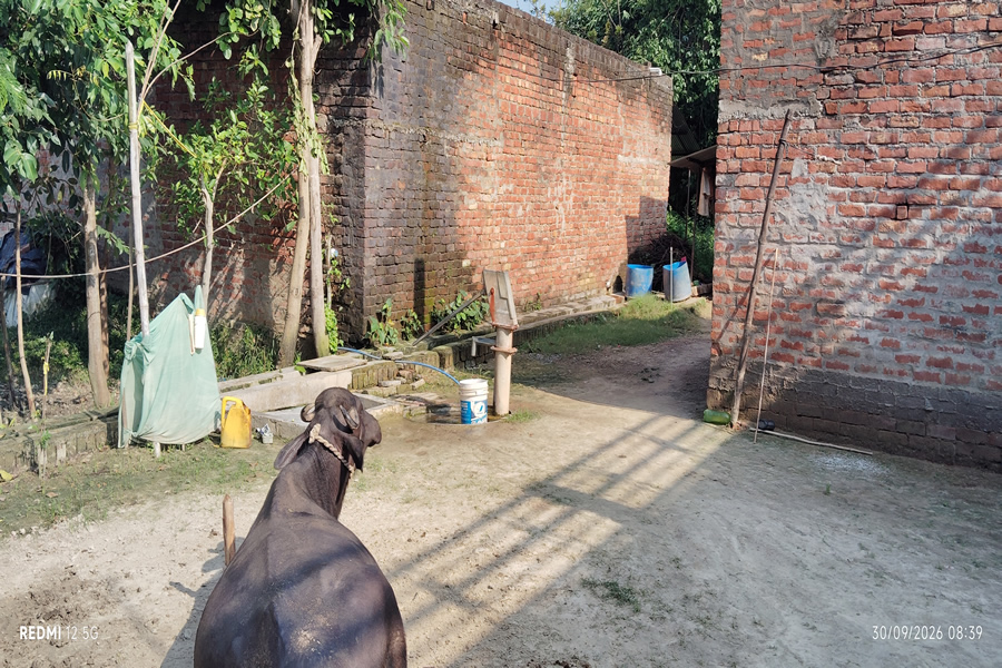 Transition from Kuchha house to Pucca Houses