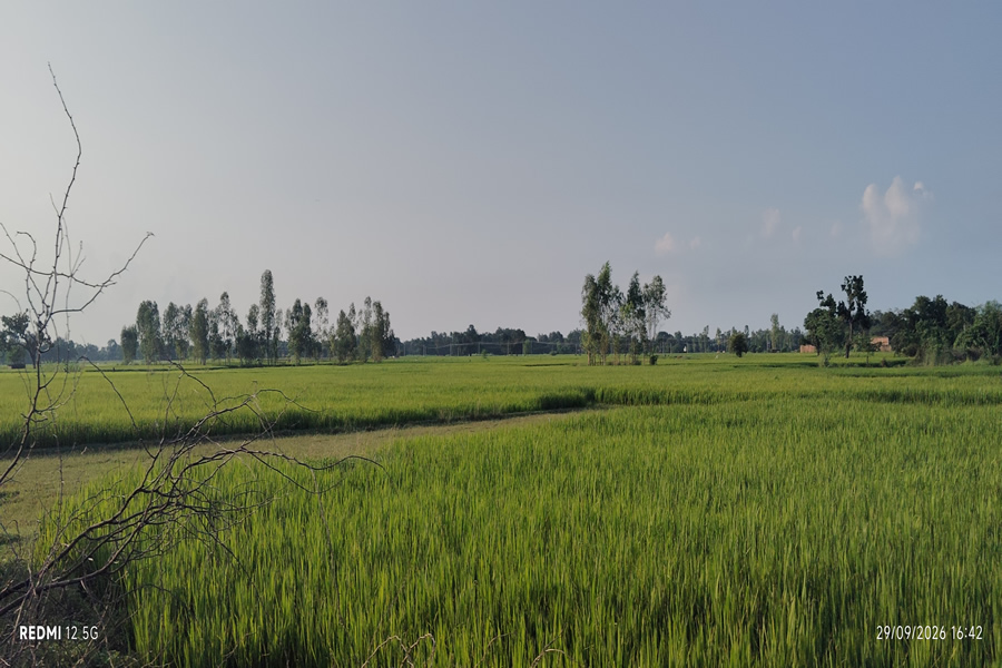 Village farms